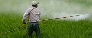 Postřik pesticidy